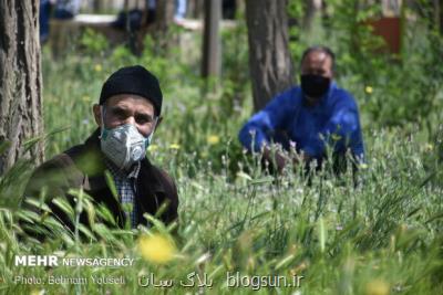 كاهش ۶ و هشت دهم درصدی ولادت در دومین استان سالمند كشور