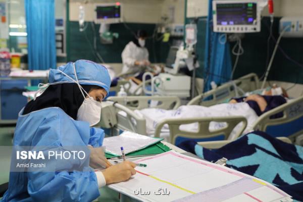 رشته های علوم پزشکی در واحد امارات دانشگاه آزاد راه اندازی می شوند