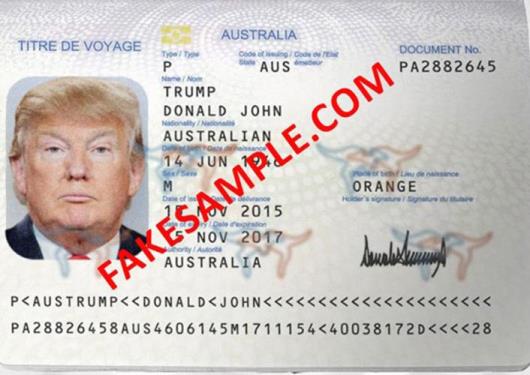 Download fake passport PSD template