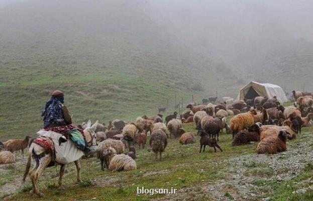 جشن کوچ عشایر بعد از ۵ سال وقفه