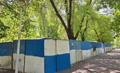 نقدی بر حصارکشی و اسباب کشی درختان از پارک ها