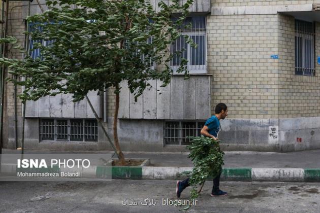 وزش باد شدید در نیمه جنوبی و غربی تهران