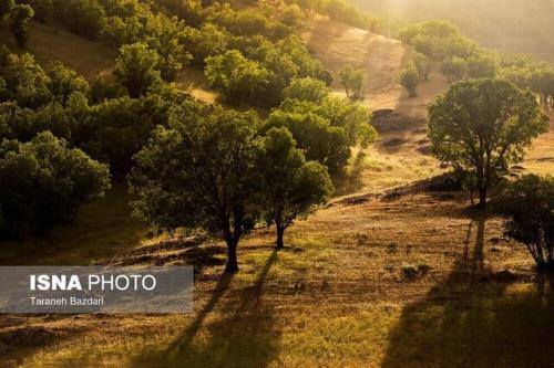 برای نجات زاگرس از سازمان ملل کمک بگیریم