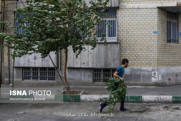 رگبار و وزش باد شدید در نقاط مختلف کشور