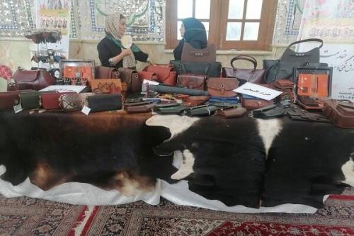 رویداد جهادی زنان و سلامت خانواده با همکاری سازمان بهزیستی انجام شد