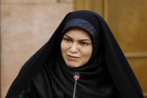 لایحه منع خشونت ضد زنان را به نتیجه می رسانیم