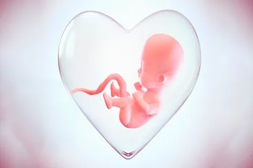 منصرف شدن ۱۹ هزار مادر از سقط جنین به کمک شبکه نفس