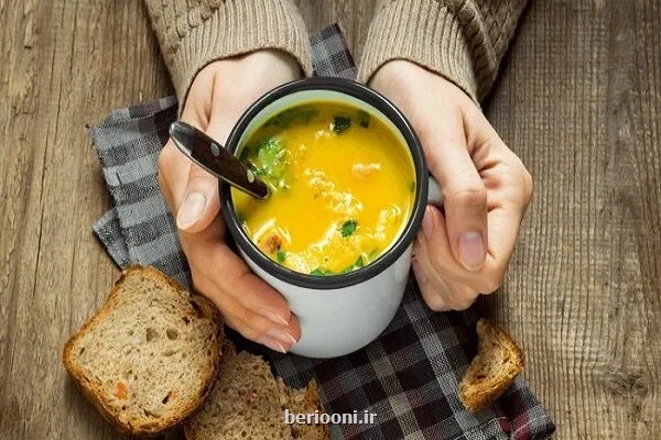 راهنمای تغذیه زمستانی سفارش های طب ایرانی برای مزاج های سرد و گرم